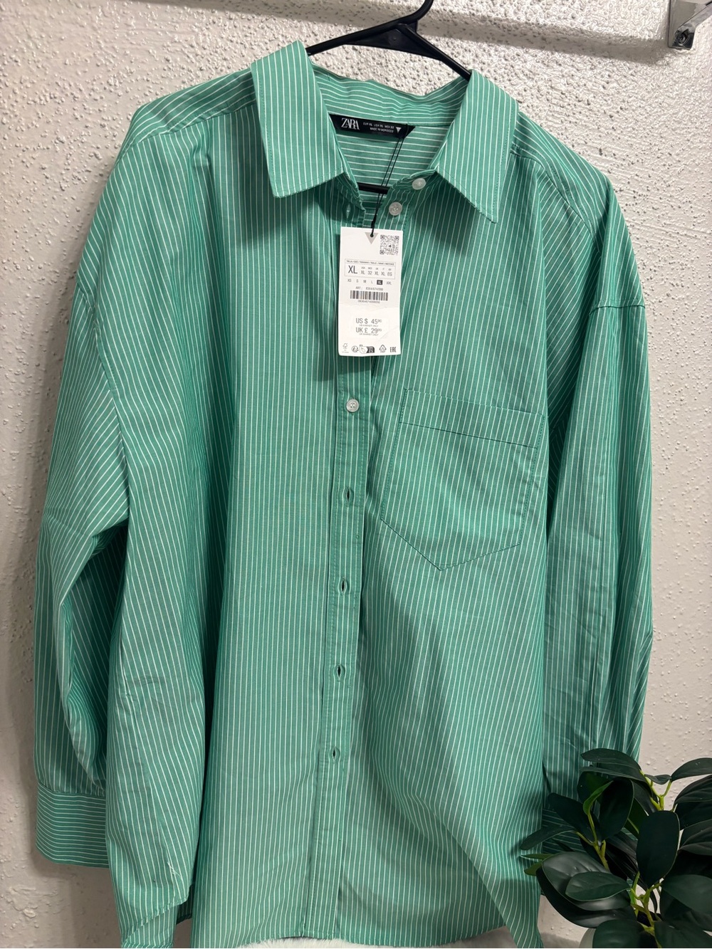 Zara Woman’s Mint Green Thin-Stripe Button Down Shirt